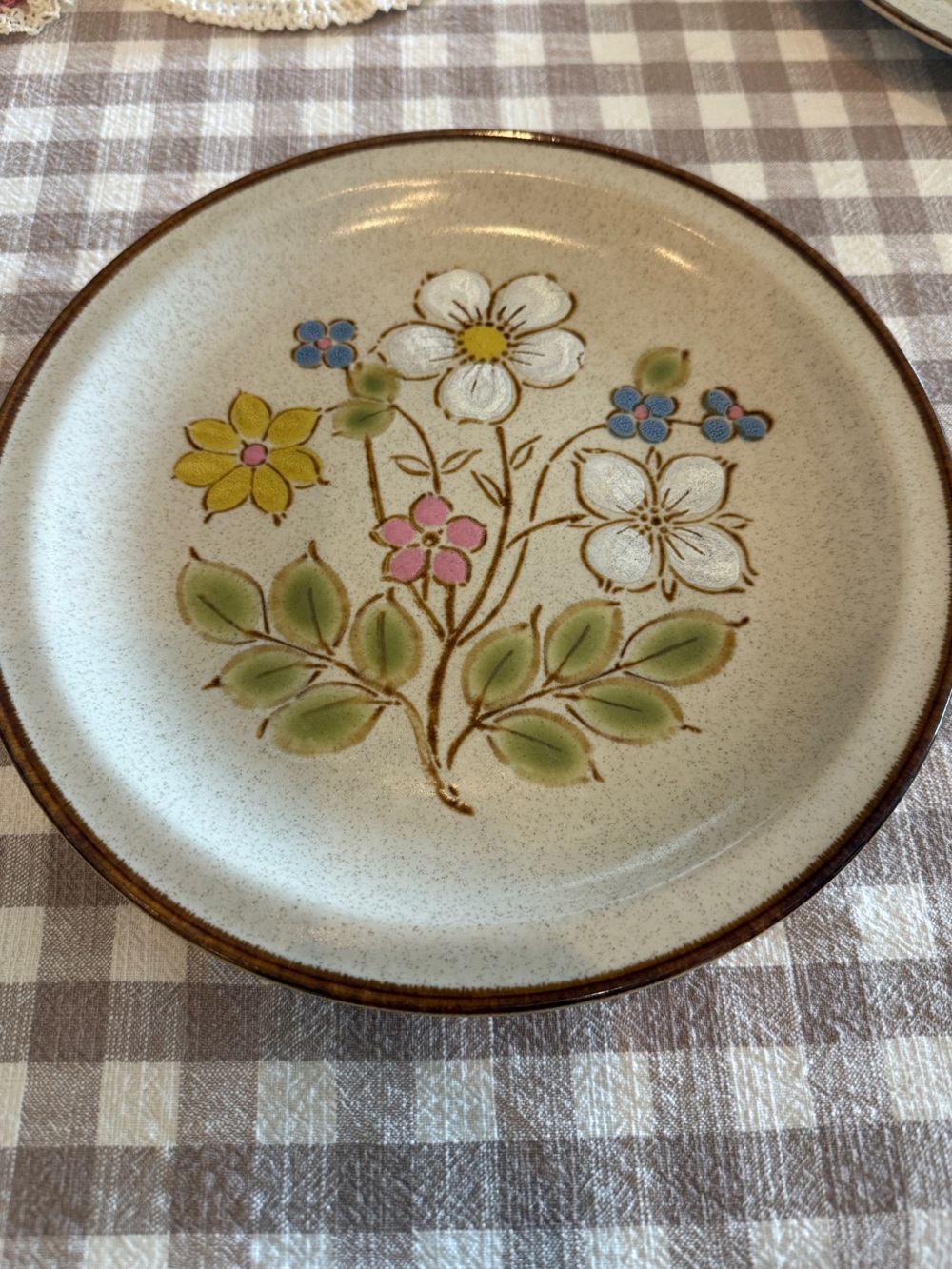 International China Crestone Vintage  Stoneware Dinner Plates Candy Bush